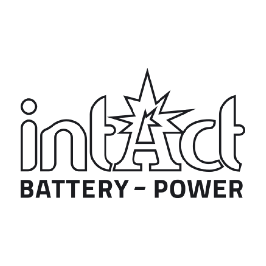 Intact Logo